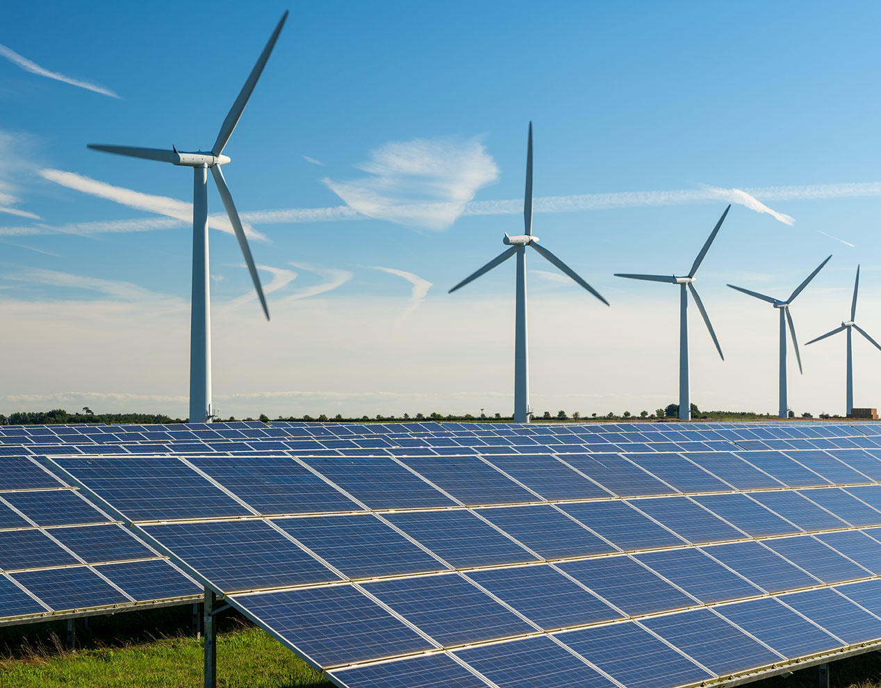 Yêu cầu báo giá